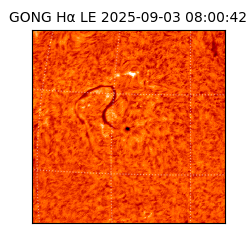 gong - 2025-09-03T08:00:42
