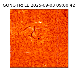 gong - 2025-09-03T09:00:42