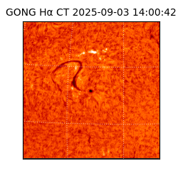 gong - 2025-09-03T14:00:42