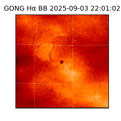 gong - 2025-09-03T22:01:02