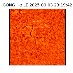 gong - 2025-09-03T23:19:42