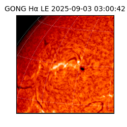 gong - 2025-09-03T03:00:42