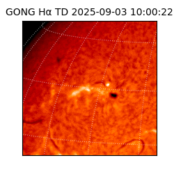 gong - 2025-09-03T10:00:22