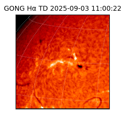 gong - 2025-09-03T11:00:22