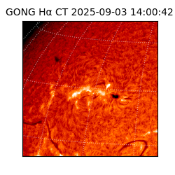 gong - 2025-09-03T14:00:42