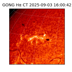 gong - 2025-09-03T16:00:42