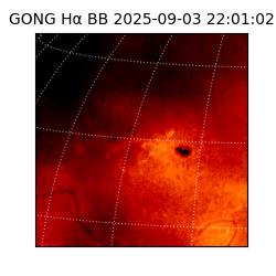 gong - 2025-09-03T22:01:02
