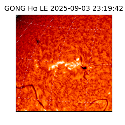 gong - 2025-09-03T23:19:42