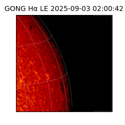 gong - 2025-09-03T02:00:42