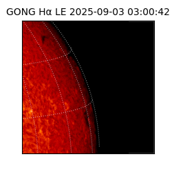 gong - 2025-09-03T03:00:42