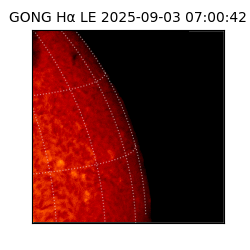gong - 2025-09-03T07:00:42