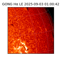 gong - 2025-09-03T01:00:42