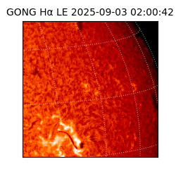 gong - 2025-09-03T02:00:42