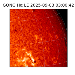 gong - 2025-09-03T03:00:42