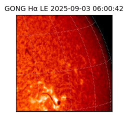 gong - 2025-09-03T06:00:42