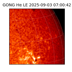 gong - 2025-09-03T07:00:42