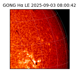 gong - 2025-09-03T08:00:42