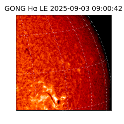 gong - 2025-09-03T09:00:42