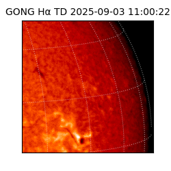 gong - 2025-09-03T11:00:22