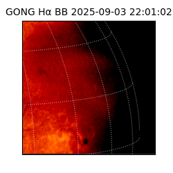 gong - 2025-09-03T22:01:02