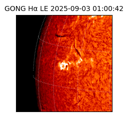 gong - 2025-09-03T01:00:42