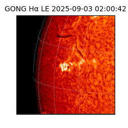 gong - 2025-09-03T02:00:42