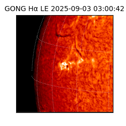 gong - 2025-09-03T03:00:42