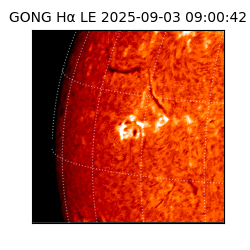 gong - 2025-09-03T09:00:42