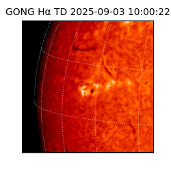 gong - 2025-09-03T10:00:22