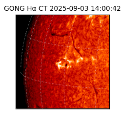 gong - 2025-09-03T14:00:42