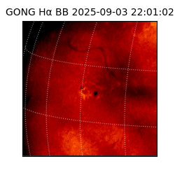 gong - 2025-09-03T22:01:02