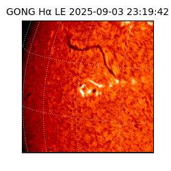 gong - 2025-09-03T23:19:42