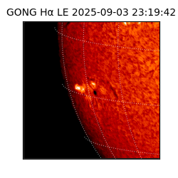 gong - 2025-09-03T23:19:42