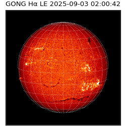 gong - 2025-09-03T02:00:42