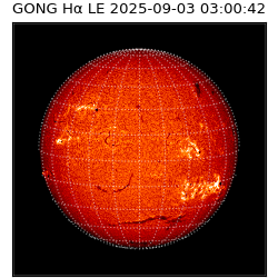 gong - 2025-09-03T03:00:42
