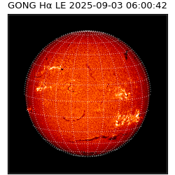 gong - 2025-09-03T06:00:42