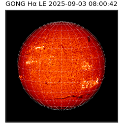 gong - 2025-09-03T08:00:42