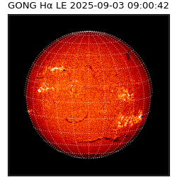 gong - 2025-09-03T09:00:42