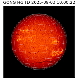gong - 2025-09-03T10:00:22