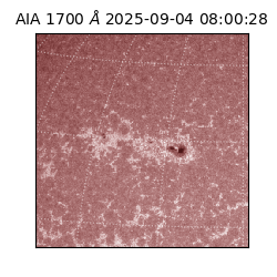 saia - 2025-09-04T08:00:28.729000