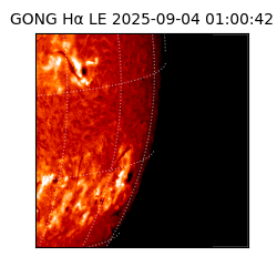 gong - 2025-09-04T01:00:42