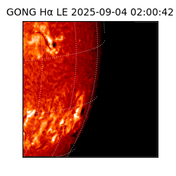 gong - 2025-09-04T02:00:42