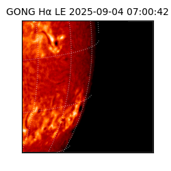 gong - 2025-09-04T07:00:42