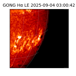 gong - 2025-09-04T03:00:42