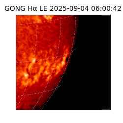 gong - 2025-09-04T06:00:42