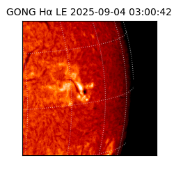gong - 2025-09-04T03:00:42