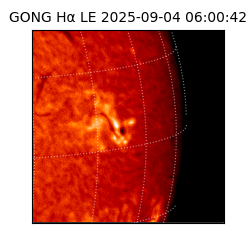 gong - 2025-09-04T06:00:42