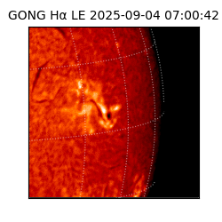 gong - 2025-09-04T07:00:42