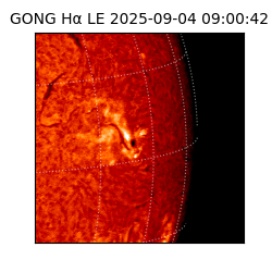 gong - 2025-09-04T09:00:42