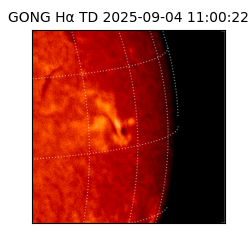 gong - 2025-09-04T11:00:22